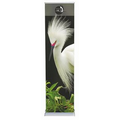 24" Cascade Retractable Banner Stand w/ Vinyl Banner